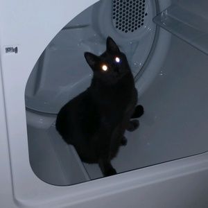 Meet your Posher, Hunter